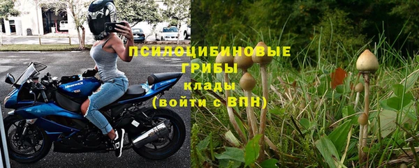 прущие крисы Алексин
