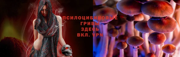 крисы Алексеевка