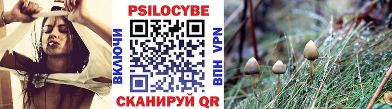 Псилоцибиновые грибы MAGIC MUSHROOMS  hydra tor  Глазов 